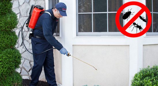 Çayıralan Hamam Böceği İlaçlama böcek ilaçlama ve haşere kontrolü — ilaclama-tr.com